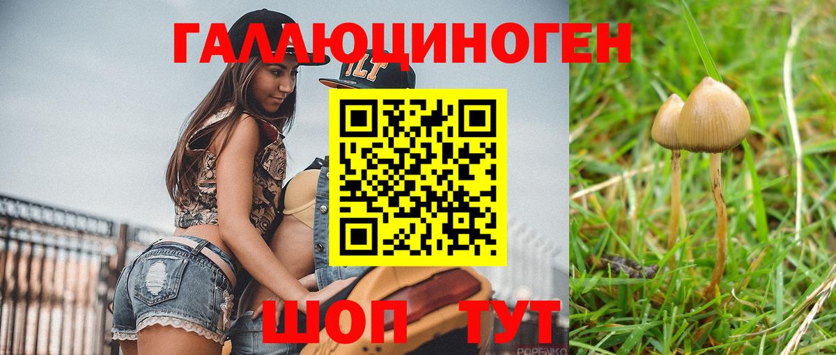 Галлюциногенные грибы Cubensis  Вход с VPN  Галлюциногенные грибы мухоморы  Чебоксары 